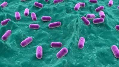 “Probiotics can help improve the health of individual patients by preventing C. difficile while also reducing the transmission of C. difficile to other, non-infected people...