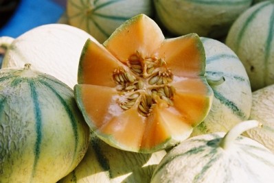 Bitter melon may offer 'exciting' cancer promise