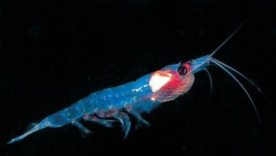 Aker buys bulk krill oil business from Neptune
