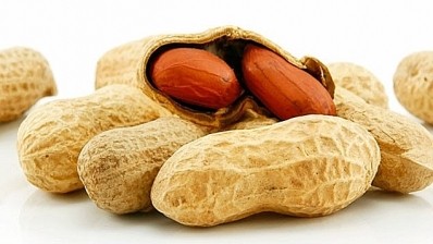 The use of a probiotic and small doses of peanut protein showed surprising results