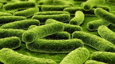 Microbiota makeup linked to intestinal cancer risk