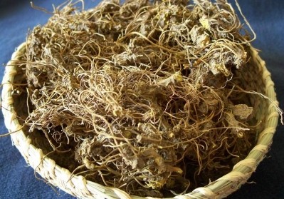 Raw goldenseal root (Hydrastis canadensis) - not the same as Golden root (Rhodiola rosea)