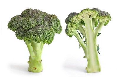 Broccoli compound backed to help fight leukaemia 