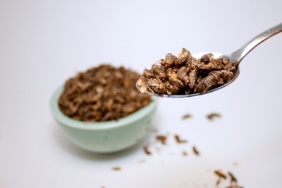 There are no systematically collected data on animal and human consumption of insects for us to look at, says EFSA  