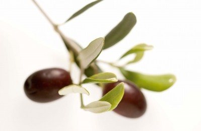 DSM enters olive polyphenol market; hard launches high-dose algae omega-3
