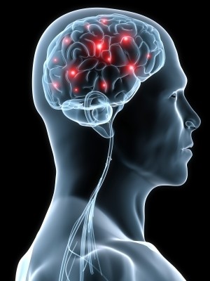 Low B12 levels may boost brain shrinkage: Study