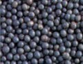 UK watchdog rules against acai ageing, energy, weight ads