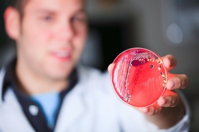 Many global pharma and food companies as well as new biotech companies are entering the domain focusing on clinical development of Microbiome-based products. Image credit: iStock.com