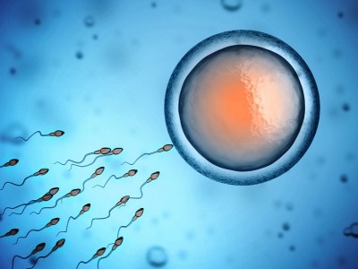 French firm claims its supplement decreases sperm DNA damage. ©iStock/koya79