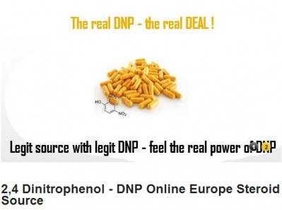 DNP remains on-sale at several online outlets