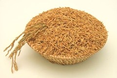 Rice bran is a prime source of Gamma Oryzanol