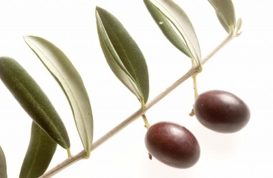 Olive oil extract space gains another player