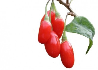 The extracts 'provide a perceivable fatigue-relieving benefit', and 'may be delivered to the consumer in beverage products and find particular use in alleviating fatigue and enhancing sports performance', says PepsiCo. Picture: Goji Grow