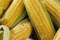 Tate & Lyle's long-term story remained 'compelling', said Investec analyst Martin Deboo. Corn is one of the manufacturer's main ingredients