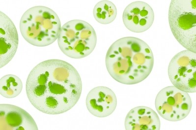 The microalgae provide a rich source of long-chain omega-3 fatty acids.  Pic: Anpario