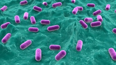 DuPont was selected to provide a comprehensive analysis of the safety and characteristics of its new Lactobacillus plantarum strain of probiotics. ©Getty Images