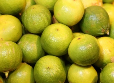 Bergacyn FF combines Bergamot citrus (pictured) and wild cardoon, the wild ancestor of the globe artichoke.    Image © ChiccoDodiFC / Getty Images
