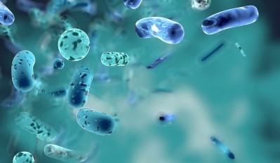 The four probiotic combination led to significant increases in specific IgM and IgG against COVID-19, said the researchers.   Image © image_jungle / Getty Images