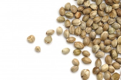 Brightseed's A.I. platform has identified two potent phytonutrients in upcycled hemp seed shells.   Image © AlasdairJames / Getty Images 