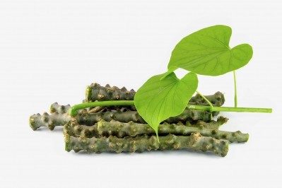 Tinospora cordifolia   Image © thewet / Getty Images