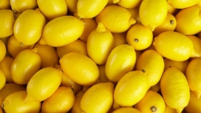 Study shows Eriomin’s lemon flavonoids at work in prediabetic gut