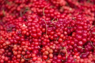 Schisandra chinensis berries.   Image © Getty Images / bong hyunjung