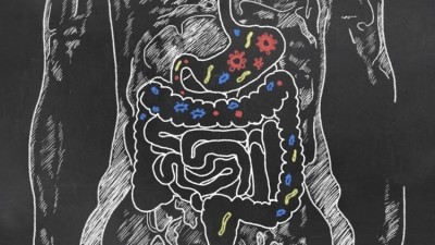 Personalised possibilities? Gut bacteria prevalence linked to genetic ability to digest starch