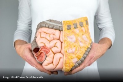 Prebiotics ‘talk’ to cells when exhibiting gut benefits