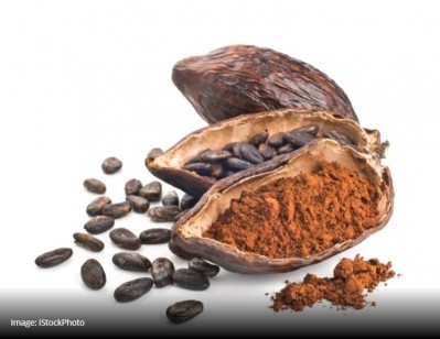 Cocoa flavanols enhance brain function by boosting blood flow