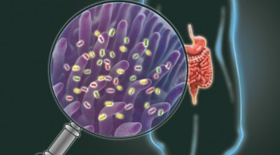 An illustration of the non-invasive way for identifying the major functions of the gastrointestinal tract. ©Marina Resnyanskaya