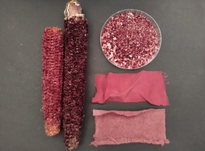 Researchers extracted pigment from purple corn cobs (left) for supplements and dyeing fabrics (bottom right), and tested the remaining grounds (top right) for animal litter. ©Patrizia De Nisi