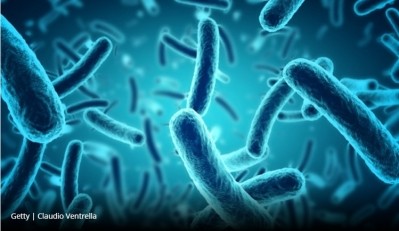 Scientists discover link between gut microbe and death rates