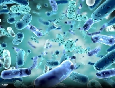 Harvard and MIT team engineer LBP to protect gut from antibiotic dysbiosis