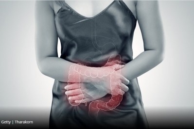 Understanding gut response to high-fat meals key to effective IBD treatments, says study