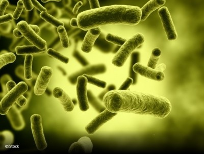 Faecal microbiota transplants may benefit C. diff patients