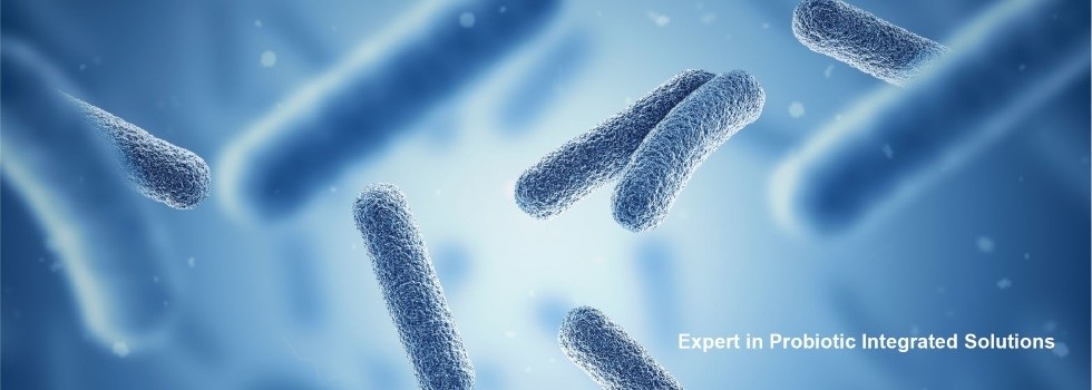 How clinical validation of probiotics and postbiotics is unlocking ways to improve wellbeing