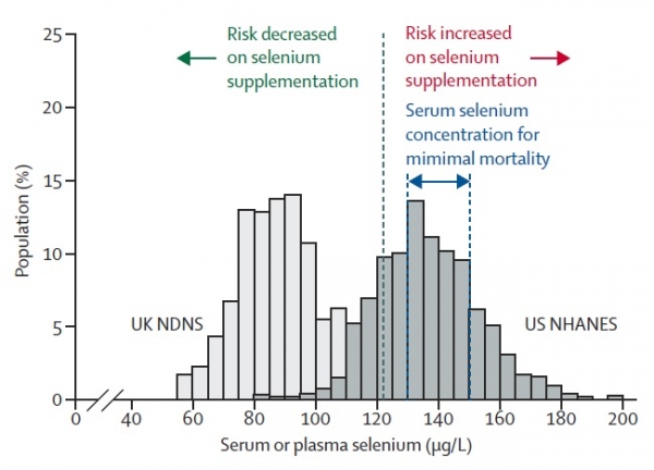 Selenium levels US vs UK