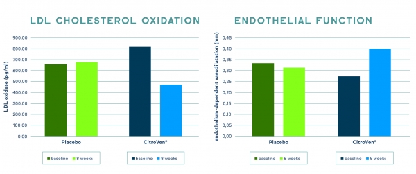 CitroVen Graph 4 LDL cholesterol oxidation & 5 Endothelial function - green