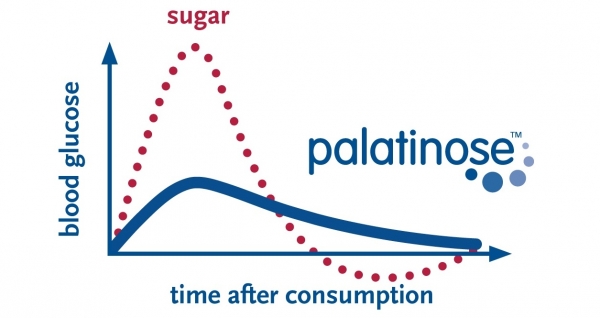 Palatinose blood glucose curve