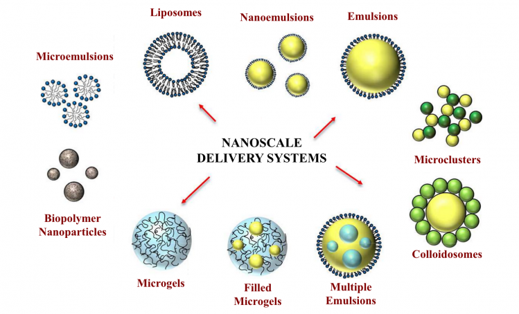 Review highlights potential of nano-delivery systems for nutraceuticals in foods