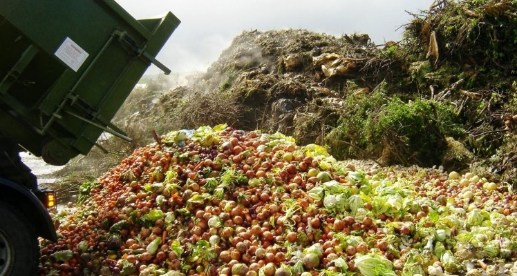 Seeds and other agricultural waste products could provide the food industry with an alternative source of oils and bioactive ingredients, say Brazilian researchers.