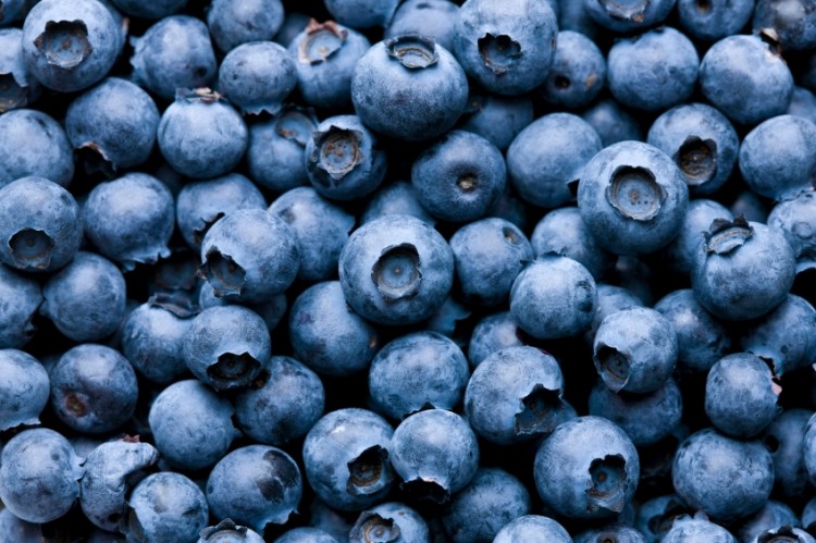 Blueberry powders shows endothelial benefits: Human data