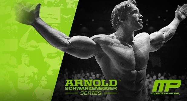 Arnold schwarzenegger series iron dream lenovo thinkpad t490 best buy