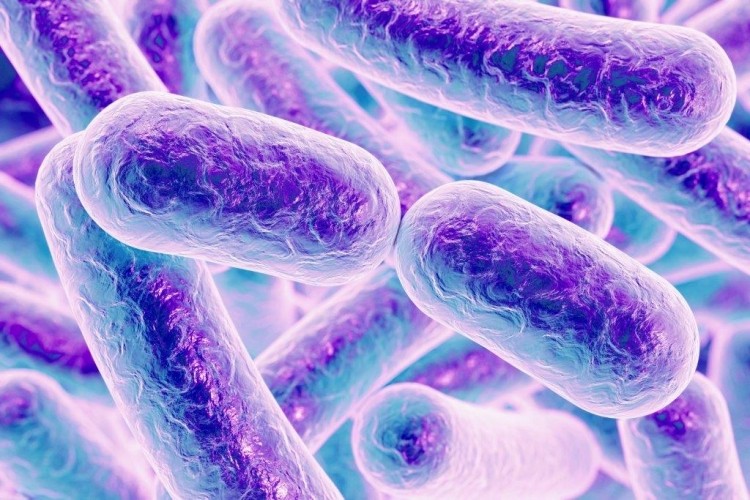 Mimicry: Gut bacteria metabolites copy human signalling molecules