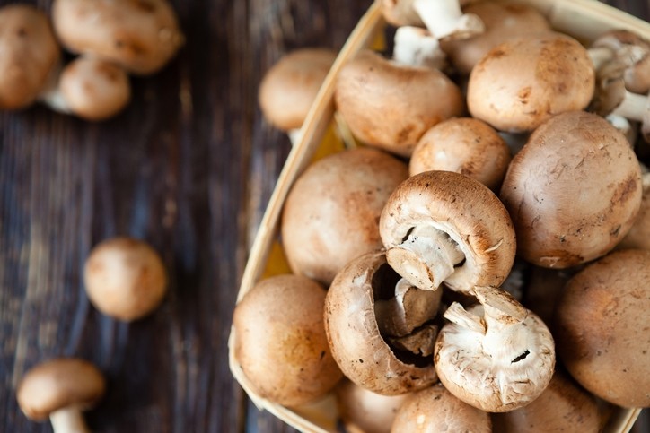 The EU and US could be seeing more launches of products containing a synthetic antioxidant found naturally in mushrooms. ©iStock/Olha_Afanasieva 