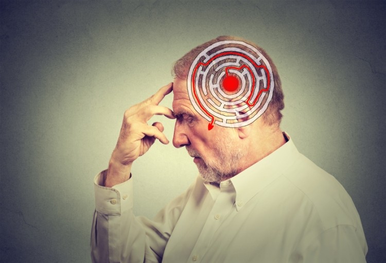 The article 13.5 claim reads: 'V0137, in association with physical and intellectual training, helps to slow the age-related cognitive decline in domains such as memory and executive function.' © iStock.com / SIphotography