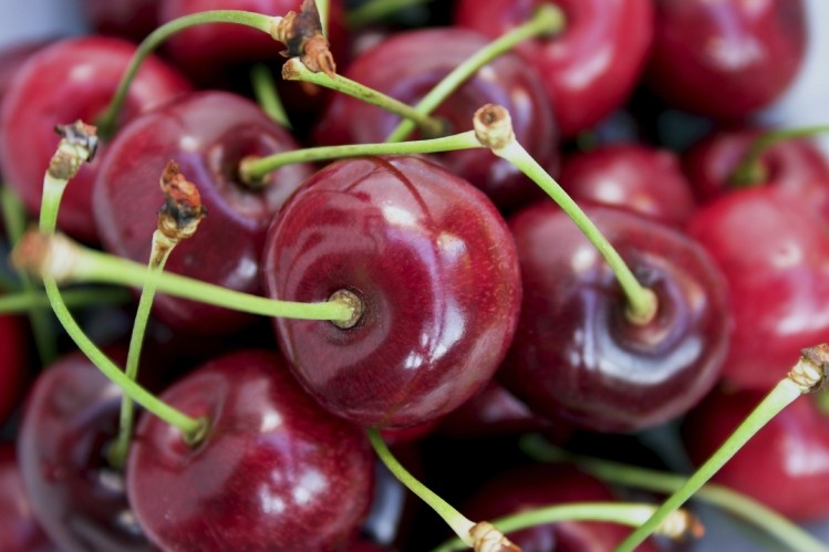 It reportedly takes over 100 pounds of fresh Montmorency tart cherries to produce a single kilogram of CherryPURE Montmorency Tart Cherry Powder, which is derived from cherry skins obtained after juicing. Image: © iStockPhoto / dkgilbey
