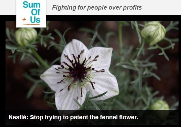 Nestlé defends plant patenting as 300,000 protest