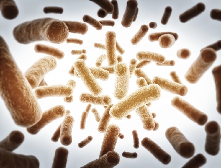 Probiotics may promote weight loss and reduce BMI