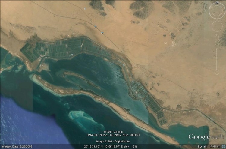 A satellite picture of NPC's western Saudia Arabia man-made lakes where it farms prawns and algae